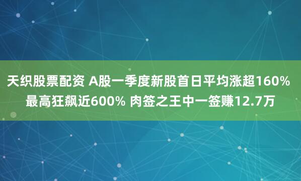 天织股票配资 A股一季度新股首日平均涨超160% 最高狂飙近600% 肉签之王中一签赚12.7万